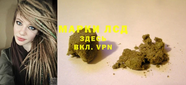 шишки Абаза