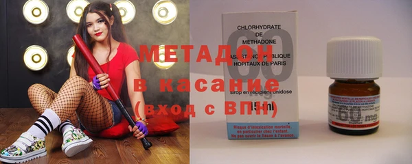 шишки Абаза