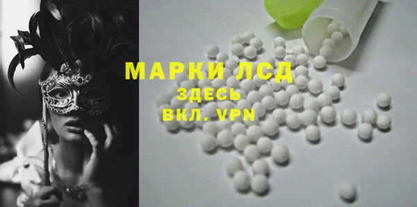 шишки Абаза