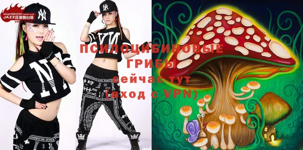 шишки Абаза