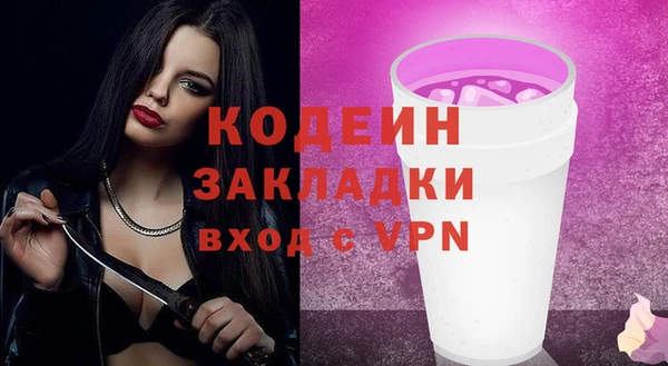 шишки Абаза