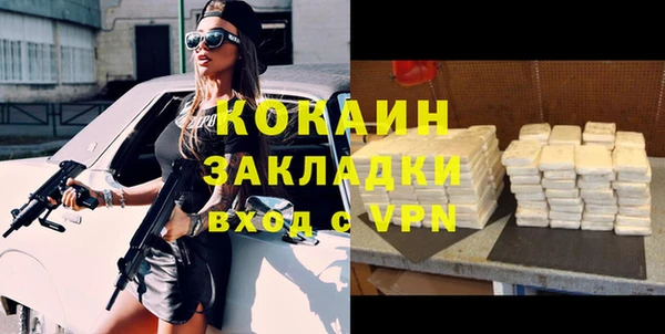 шишки Абаза