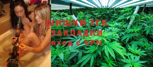 шишки Абаза